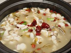 -周渝食惦酸菜鱼(青浦店)