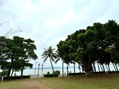 -深圳湾公园(南山区)