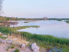 -天津东丽湖风景区