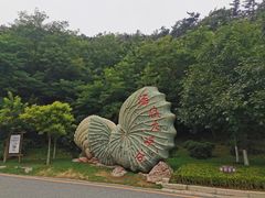 -棒棰岛宾馆景区