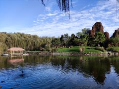 -北京野生动物园