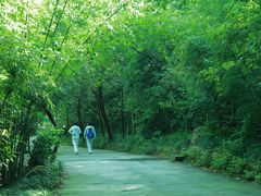-郧西五龙河风景区