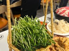 -椰子湾·海南火锅·糟粕醋·椰子鸡(正大广场店)