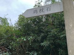 -火炉山森林公园