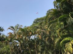 -荔香公园