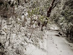 -赭山公园