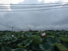 -麦当劳(湛江大厦店)