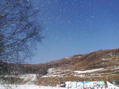 -多乐美地滑雪场