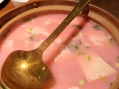 三明红菇炖豆腐-CHIC1699远洋私厨