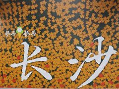-茶颜悦色(岳麓山顶店)