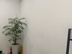-浆木咖啡馆(湘子庙街店)