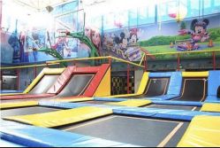 -爱丽丝奇幻乐园