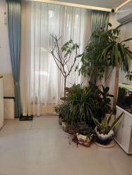 -康谛尔健康管理机构