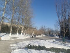 -北京国家会计学院