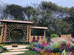 -上海共青森林公园