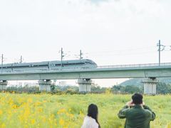 -光明小镇欢乐田园