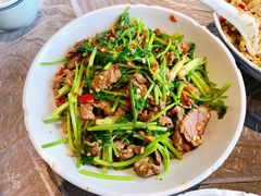 香菜炒牛肉-壹盏灯(惠农店)