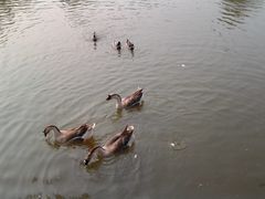 -北京小汤山医院体检中心