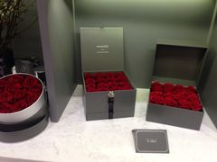 -ROSEONLY诺誓(广州K11店)