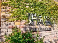 -炉鱼(云澜湾店)