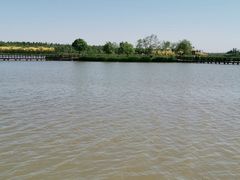 -西青郊野公园