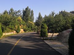 -黄金寨原生态旅游区
