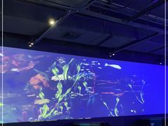-大成海鲜烧烤·小龙虾(七宝店)