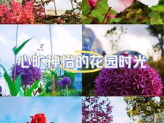 -上海植物园