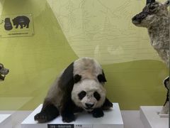 -国家自然博物馆