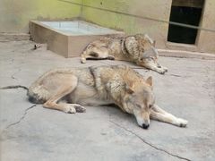 -荆州中山公园动物园