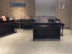 -知音艺术教育培训·钢琴培训·音乐培训(河西金鹰世界校区)