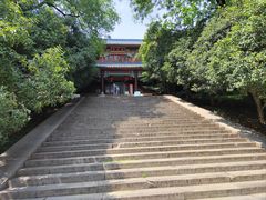 -灵谷景区