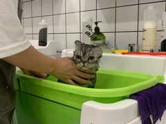 -BABIT巴比特宠物(MOMOPARK店)