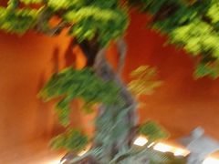 -阿伟海鲜楼·福建菜(延寿店)