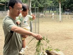 -北京麋鹿生态实验中心