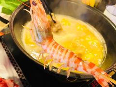 -鲜入围煮花胶鸡海鲜火锅