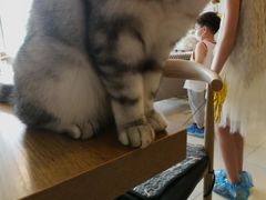 -平行世界·猫咖(首经贸店)