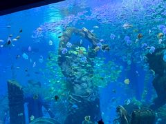 -波塞冬海底世界