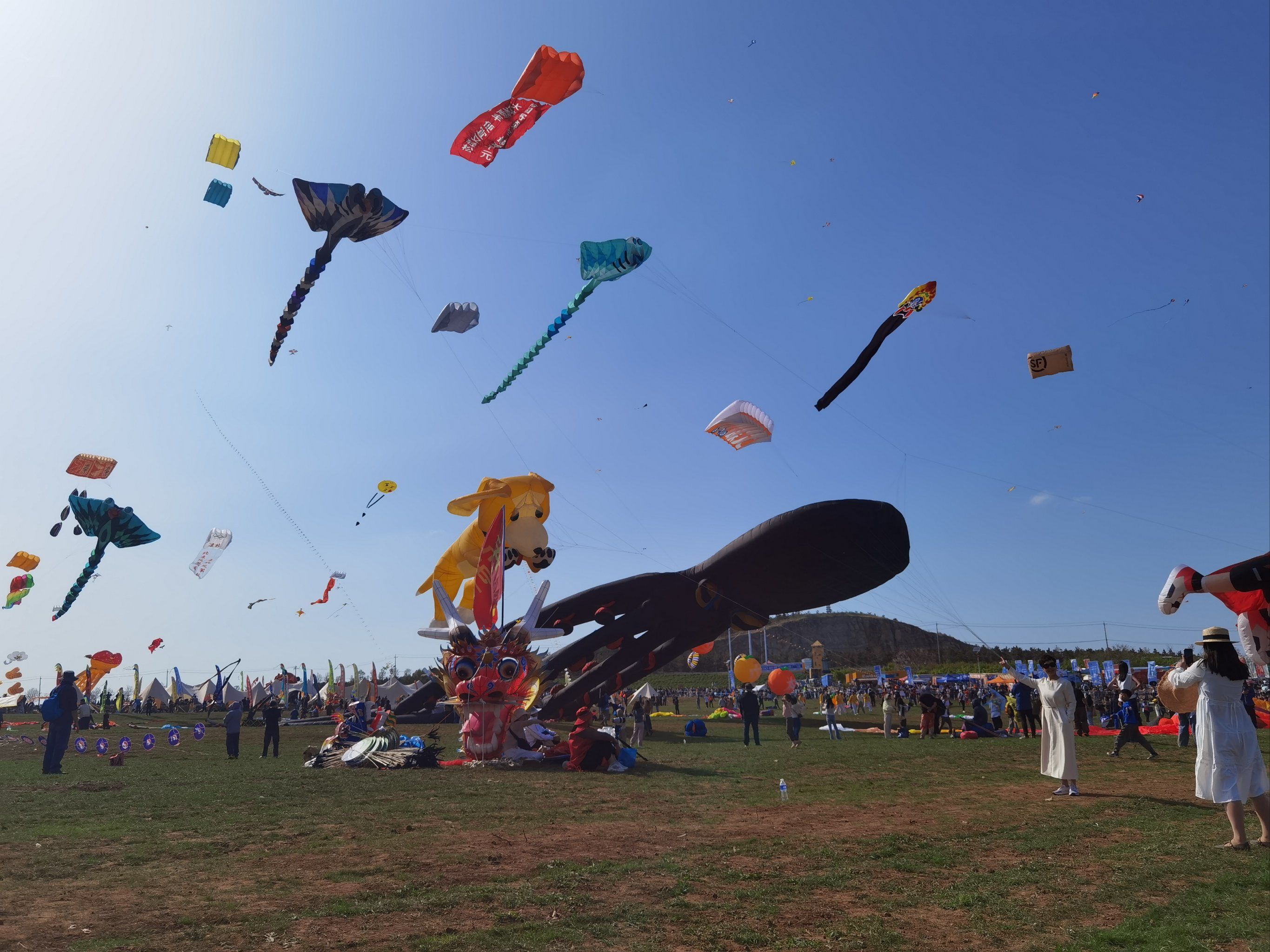 潍坊风筝节
