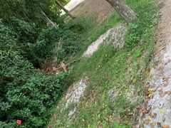 -南宁良凤江国家森林公园