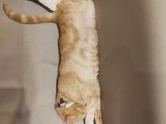 -小时光咖啡馆(开森度假森林店)