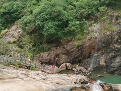 -广州白江湖森林公园