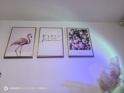 -美肤盾祛痘·问题肌头疗管理中心