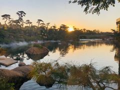 -罗红摄影艺术馆