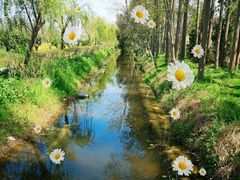 -前小桔亲子创意农场·草莓采摘·露营烧烤