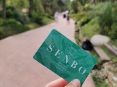 -杭州开元森泊度假乐园