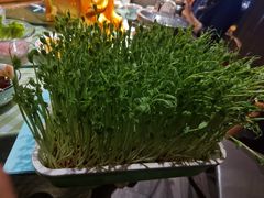 -番食园鲜食火锅(高新店)