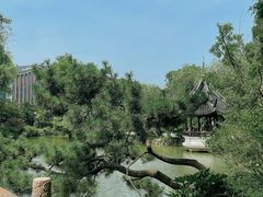 -上海醉白池公园