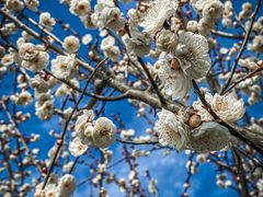 -南京市无想山景区