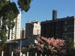 -荔湾湖公园